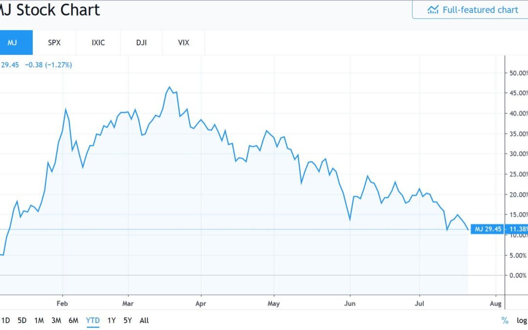 Cannabis Sector up 12% in 2019 – What’s Next?