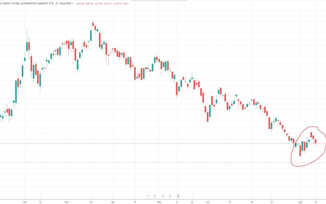 Cannabis Sector down 50% from 52-Week High – Don’t Panic